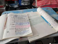 《爸爸回来了 第一季》观后感摘抄
