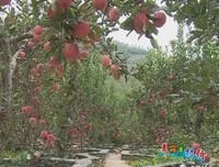 生去会怎么有样把有么多奔头好词好句