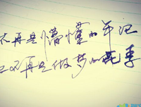 我的sjie优美的句子