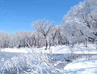 阳春白雪格言警句
