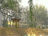 关于时光易逝，烟花易着地的句子