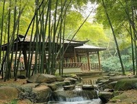 最新的《韦帅望的朱湖·大隐于市 下》语录摘抄