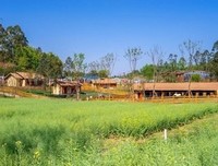 《锦城花时》小说书摘