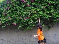 《万万时打把来想到》名句欣赏