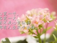 最新的《小碎步也可以光芒万丈》经典语录