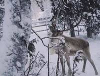冬已至,春欲来