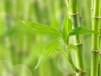 “小往大来”与“大往小来”