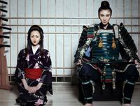 《武士人生》经典观后感1000字