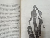 《火欲——警官单立人的故事》读后感摘抄
