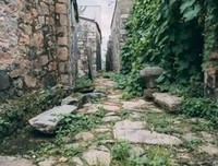 《梦回大清》读后感精选