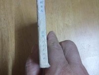 上尉的女儿读后感摘抄