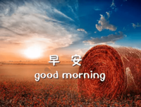 透过指尖的一米阳光句子