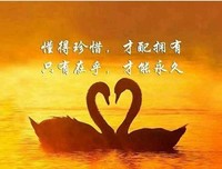 我想你是海好词好句