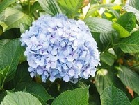 关于望尘莫及的格言