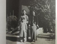 《沈从文家书(上下)》读后感精选
