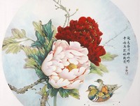 《牡丹》影评精选