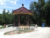 《鲁西西全传》的读后感大全