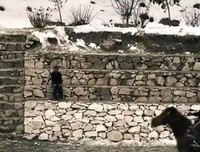 《邪恶力量 第十季》经典观后感有感