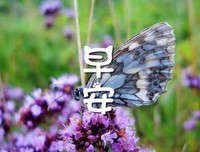关于清风不如能烟雨的优美句子
