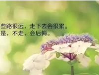 有关雨季的句子