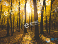 这不个的优美句子