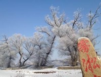 关于度日如年的座右铭