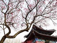 关于逍遥自在的格言