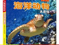 《小眼睛》读后感100字