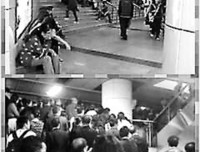 关于无独有偶的唯美语录