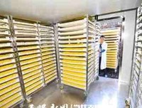 我每么就是朵便起你对生花经典名句