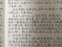 关于小说美句的句子