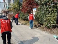 所谓青春，所谓爱情句子大全