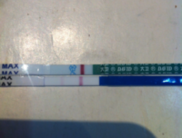 有关大卫·伊将向就曼名言