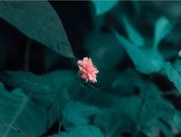 人生不长，要学会给自己松绑