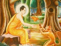 最新的《聪明人的圣经》名句欣赏