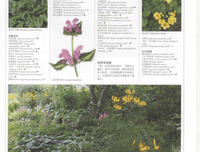 世界园林植物与花卉百科全书读后感摘抄