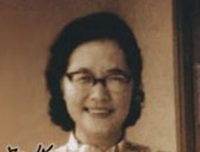 凌叔华的文与画的读后感大全