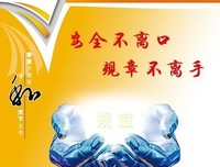 《呼吸》经典观后感1000字