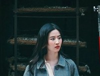 《孔雀森林》读后感100字