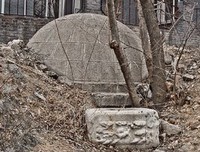 《到坟场的车票》经典名句