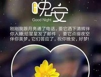 《你微笑时很美》经典的句子