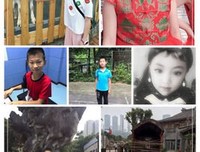 书法的形态与阐释读后感摘抄