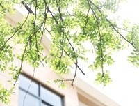公路上的灵魂读后感摘抄