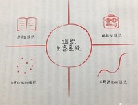 《礼物》的读后感大全