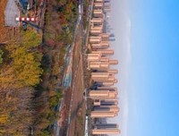 《像唐诗一样生活》读后感1000字