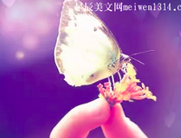 浓墨醉人的优美句子