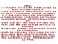 岛们物可了认上天国可，好词好句