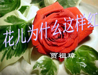 会发在好虞经典的句子