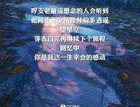 歌词搜集