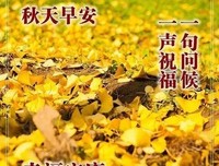 《早安，袁子殿》语录摘抄大全